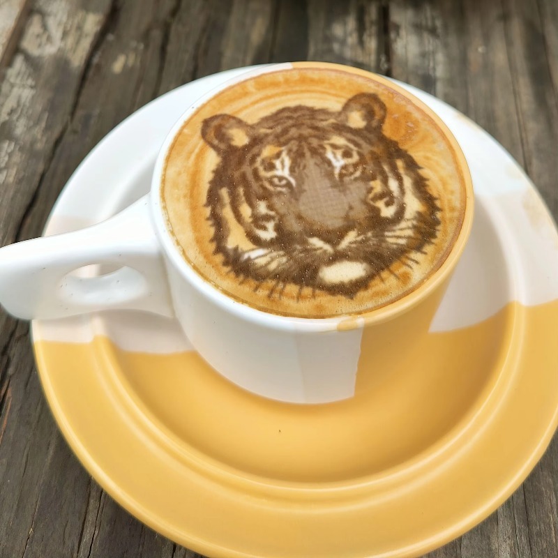 New Trend Commercial Restauran - Coffee Equipment And Supplies 리뷰 및 가격