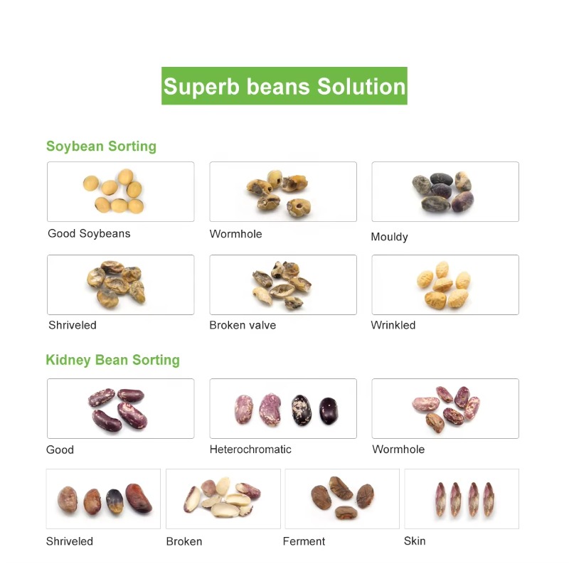 Customized Grape Sorter Machin - Coffee Equipment Price 리뷰 및 가격