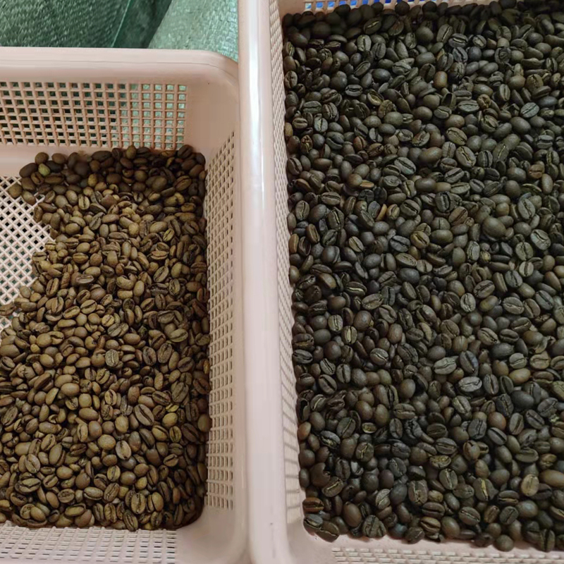 Arabica Robusta Coffee Color S - Coffee Equipment Price 리뷰 및 가격