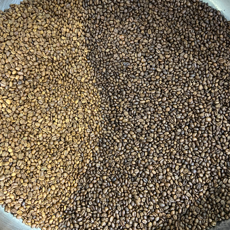 Arabica Robusta Coffee Color S - Coffee Equipment Price 리뷰 및 가격